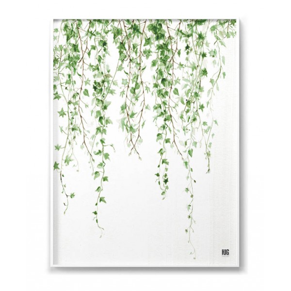 Ivy poster vertical