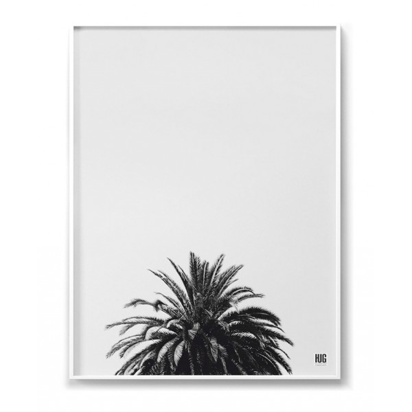 Palm tree poster