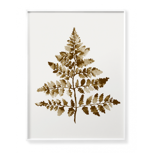 Dried plants poster no 2